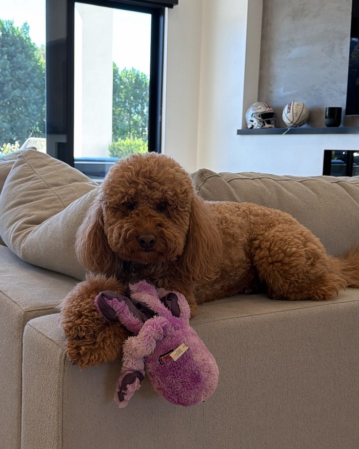 Bella Glimcher